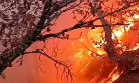 بی توجهی گردشگران و مسافران، جنگل های سوادکوه و گلوگاه را به آتش کشید/ ویدئو