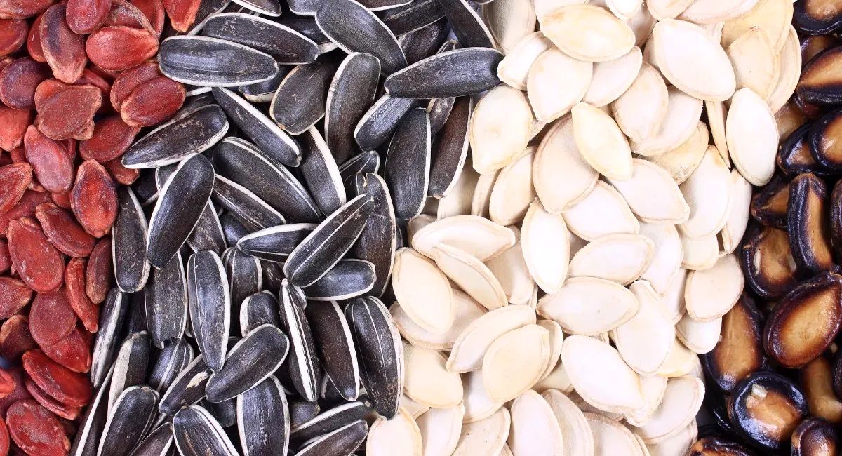چه تخمه ای بخوریم بهتر است؟