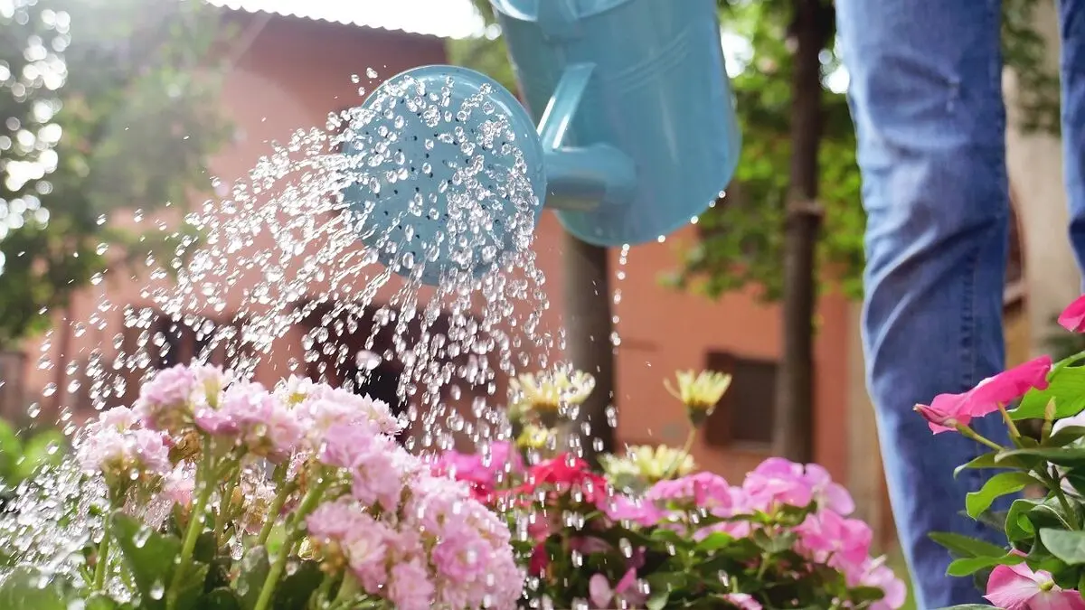 باغبان ها کمتر به سرطان مبتلا می‌شوند