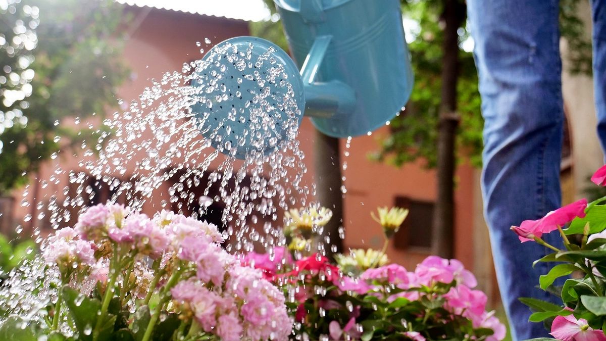 باغبان ها کمتر به سرطان مبتلا میشوند