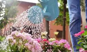 باغبان ها کمتر به سرطان مبتلا می‌شوند