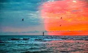 انسان‌ها عامل اصلی گرم شدن اقیانوس‌ها