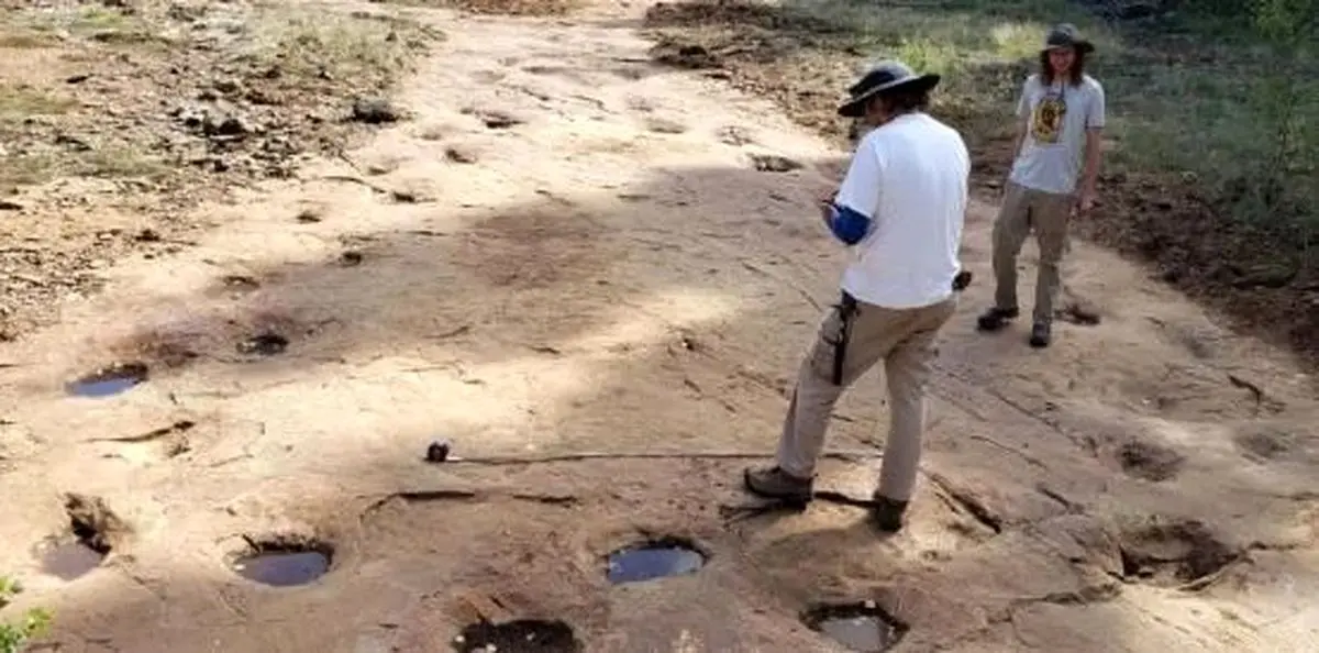 کشف دایناسور ۱۵۰ میلیون‌ساله