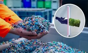 علف و جلبک، قطعات خودرو می‌شوند