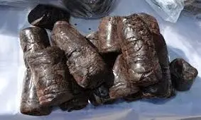 کشف قوطی‌های کنسرو با طعم تریاک در فرودگاه حضرت امام (ره)