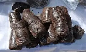کشف قوطی‌های کنسرو با طعم تریاک در فرودگاه حضرت امام (ره)