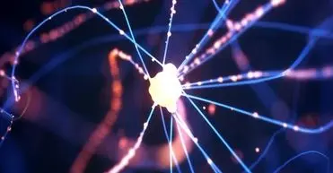 حلقه گمشده بین پارکینسون و آسیب به سلول‌های مغزی کشف شد

