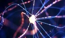 حلقه گمشده بین پارکینسون و آسیب به سلول‌های مغزی کشف شد

