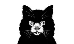 تست شخصیت شناسی/ آیا شما فرد وفاداری هستید؟ کدام موجود را اول می‌بینید؟ 