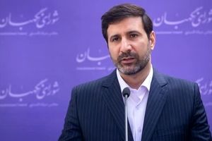 سخنگوی شورای نگهبان: گزارشی که نتیجه انتخابات را تحت تاثیر قرار دهد دریافت نکرده‌ایم