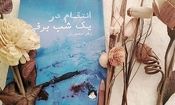 مجموعه داستان «انتقام در یک شب برفی» رونمایی شد