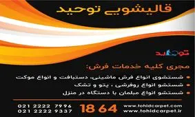 ویژگی‌های یک سایت قالیشویی کاربرپسند چیست؟