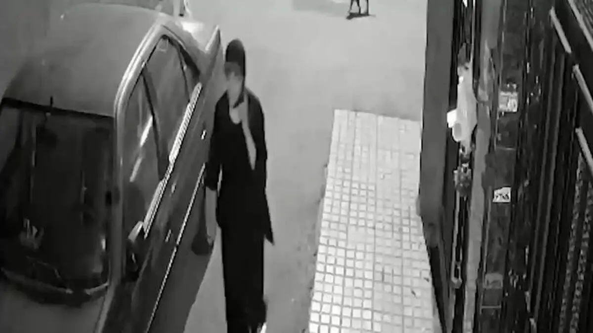 همه چیز درباره پرونده نیکا شاکرمی؛ از ادعای شکنجه تا پیام‌های لحظه آخری نیکا به مادرش
