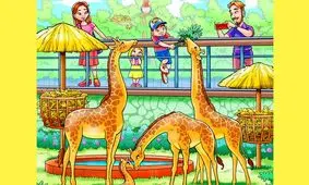 می توانید میمون بازیگوش را در این باغ وحش پیدا کنید؟