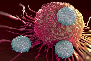 شایع ترین سرطان‌ها در بین مردان و زنان