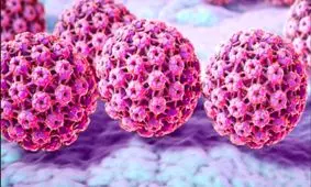 زگیل تناسلی چیست و آیا باید نگران بود؟