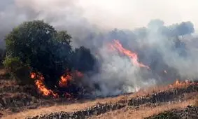 شمار قربانیان آتش‌ سوزی در الجزایر به ۳۸ نفر رسید