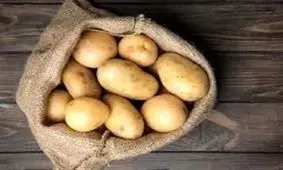 تشکیل پرونده قضایی برای گران فروشی سیب زمینی
