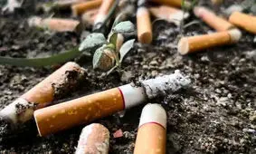 وقتی ته سیگار، آینه بی‌مسئولیتی می‌شود