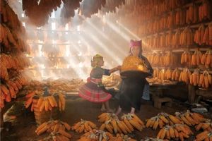 14 شاهکار عکاسی که در سال 2025 برندۀ جایزه شدند