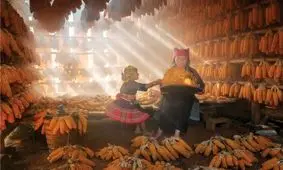 14 شاهکار عکاسی که در سال 2025 برندۀ جایزه شدند 