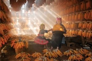 14 شاهکار عکاسی که در سال 2025 برندۀ جایزه شدند 