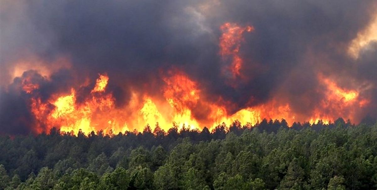 آتش سوزی جنگل‌های «نیلکوه» گالیکش/ ویدئو