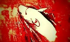 تست شخصیت شناسی/ در تصویر پایین چه حیوانی را مشاهده کردید؟