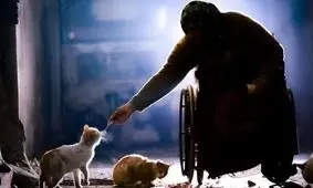 داستان یک زن گدای ویلچرنشین و ۱۰ گربه‌اش