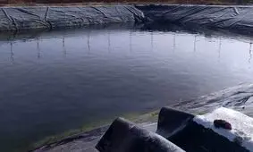 کشف جسد یک مرد میانسال در استخر کشاورزی در قزوین

