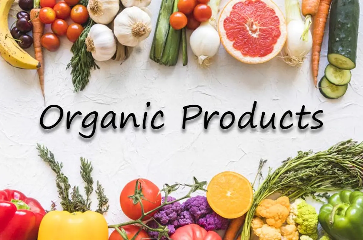 تغذیه پایدار؛ آینده سالم با انتخاب مواد غذایی ارگانیک