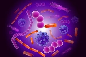 چرا میکروبیوم مهم است؟