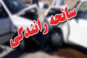 تصادف زنجیره‌ای 14 خودرو در آزادراه اصفهان-شیراز
