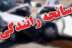 تصادف زنجیره‌ای 14 خودرو در آزادراه اصفهان-شیراز