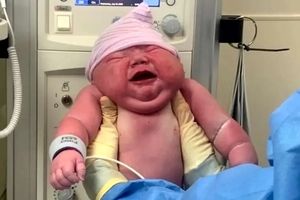 نوزاد آمریکایی با وزن ۵٫۸ کیلوگرم خبرساز شد!