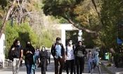 چالش جدید؛ غذای دانشجویان به مشکل خورد!/ ویدئو

