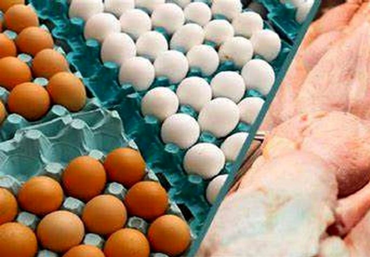 قیمت جدید مرغ و تخم مرغ تصویب شد