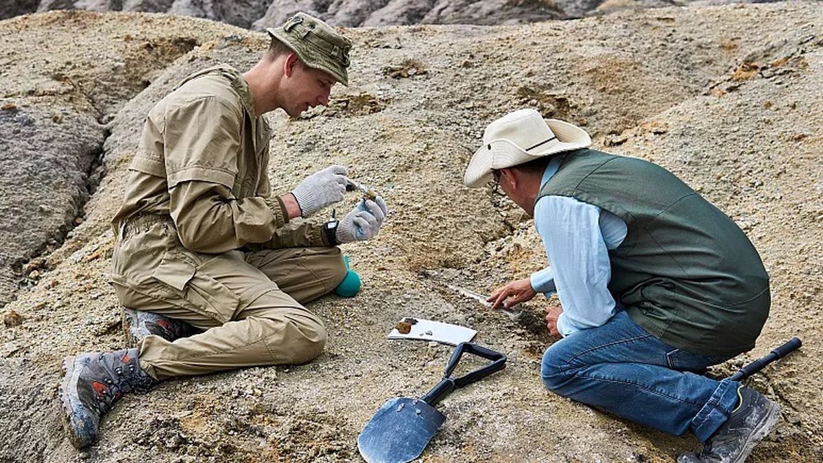 چرا زمین‌شناسان سنگ‌ها را لیس می‌زنند؟

