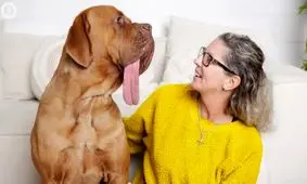 زبان‌درازترین سگ جهان انتخاب شد