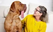 زبان‌درازترین سگ جهان انتخاب شد