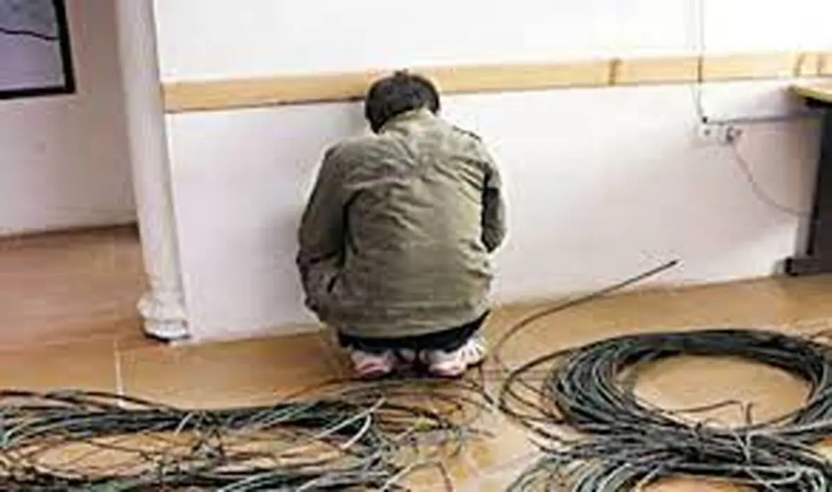 دستگیری یک سارق سیم برق درفلاورجان