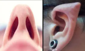 زیبایی های غیرمتعارف که عادی شده اند