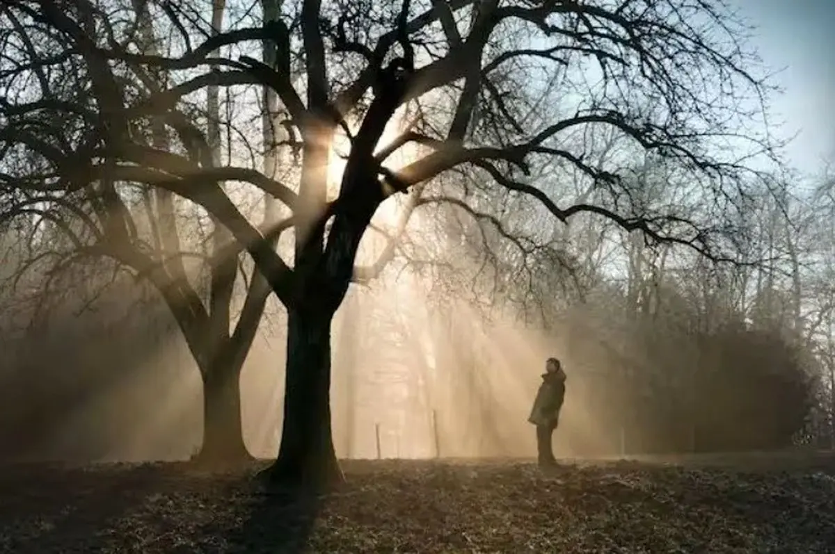 تمرینی که در دو هفته شما را امیدوارتر می‌کند