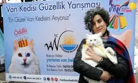 مسابقه انتخاب زیباترین گربه وان