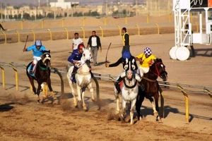 پایان هفته اول مسابقات اسب دوانی کشور در اهواز