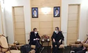 مدیرکل آژانس بین‌المللی انرژی اتمی وارد تهران شد

