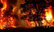 آتش سوزی جنگل ها و مراتع گچساران