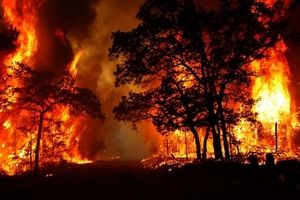آتش سوزی جنگل ها و مراتع گچساران