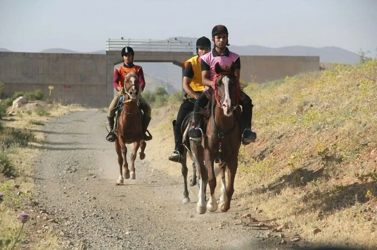 رییس هیات سوارکاری خوزستان خبر داد: راه اندازی مرکز قرنطینه جنوب کشور در خوزستان