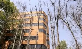 پلیس به ماجرای قطع و خشکاندن درختان ورود می‌کند؟